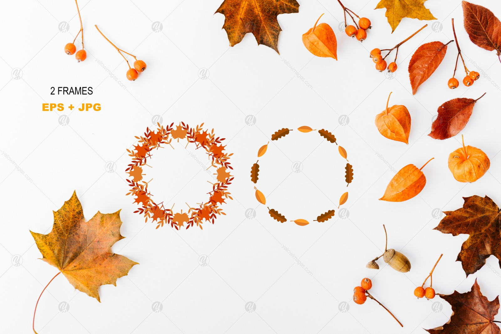 Hello Autumn Set Hello Autumn Set