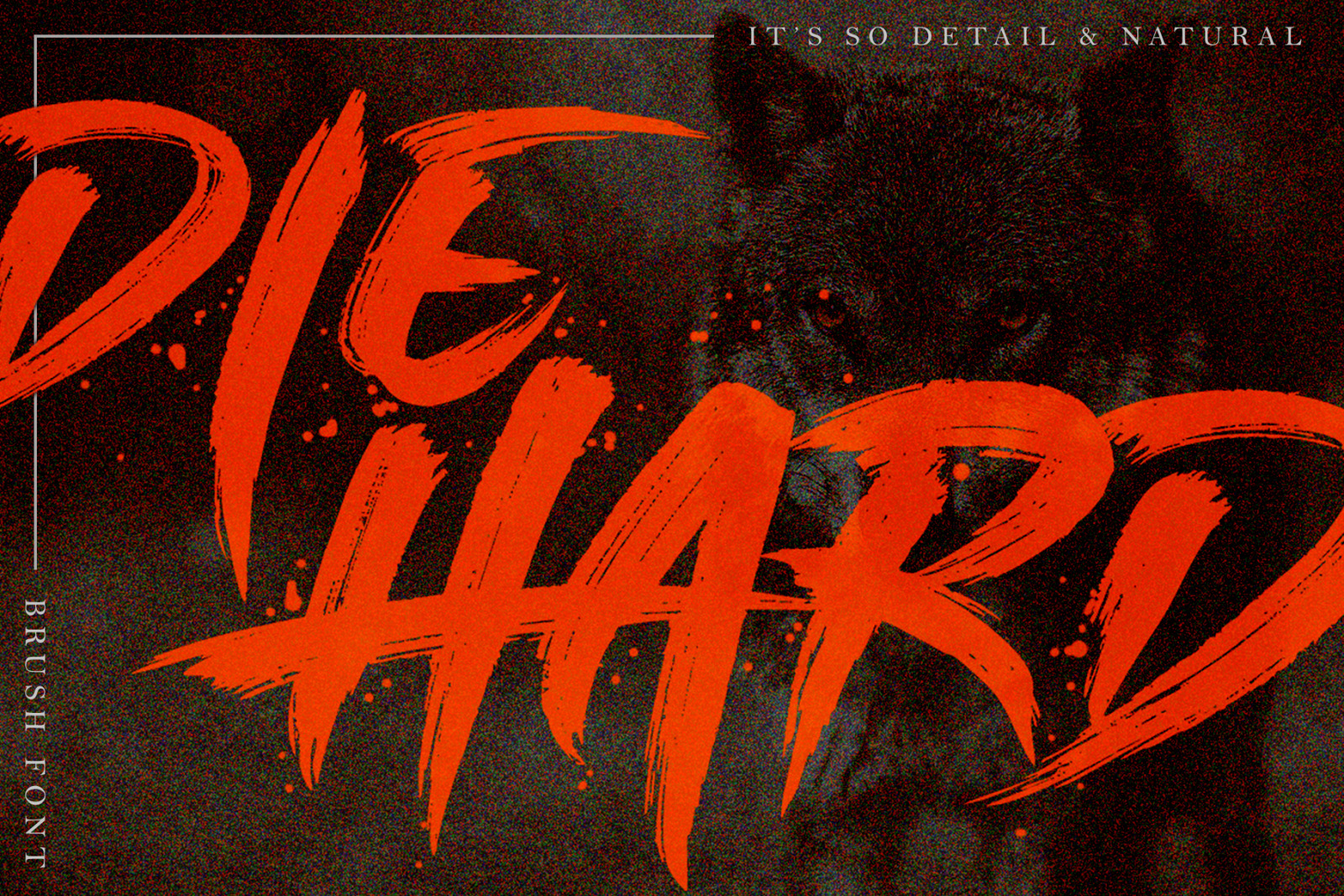 Single Fighter Brush Font Single Fighter Brush Font