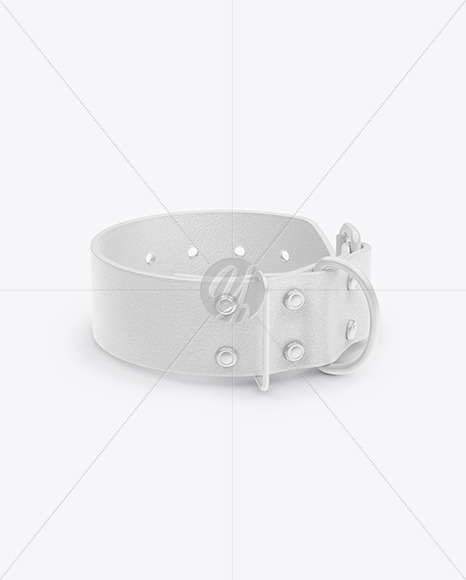 Leather Dog Collar Mockup