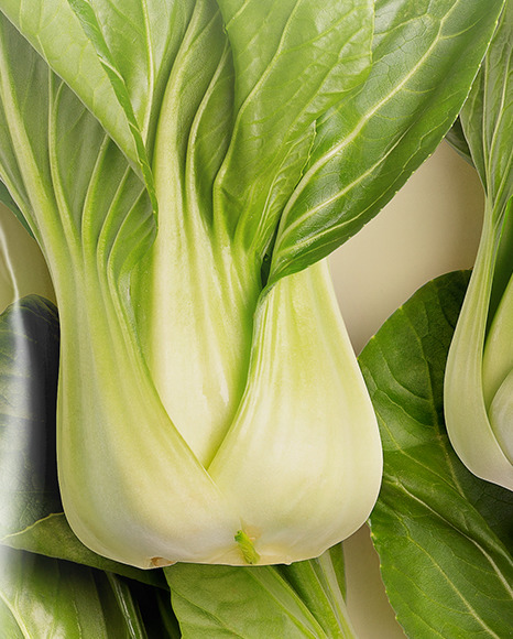 Plastic Bag With Bok Choy Mockup