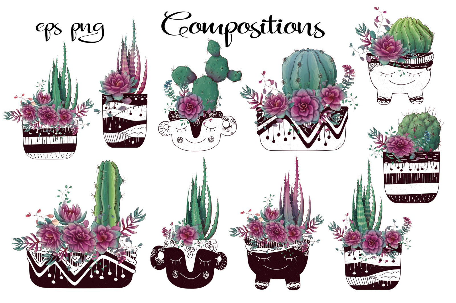 Cacti & Succulents in purple Cacti & Succulents in purple