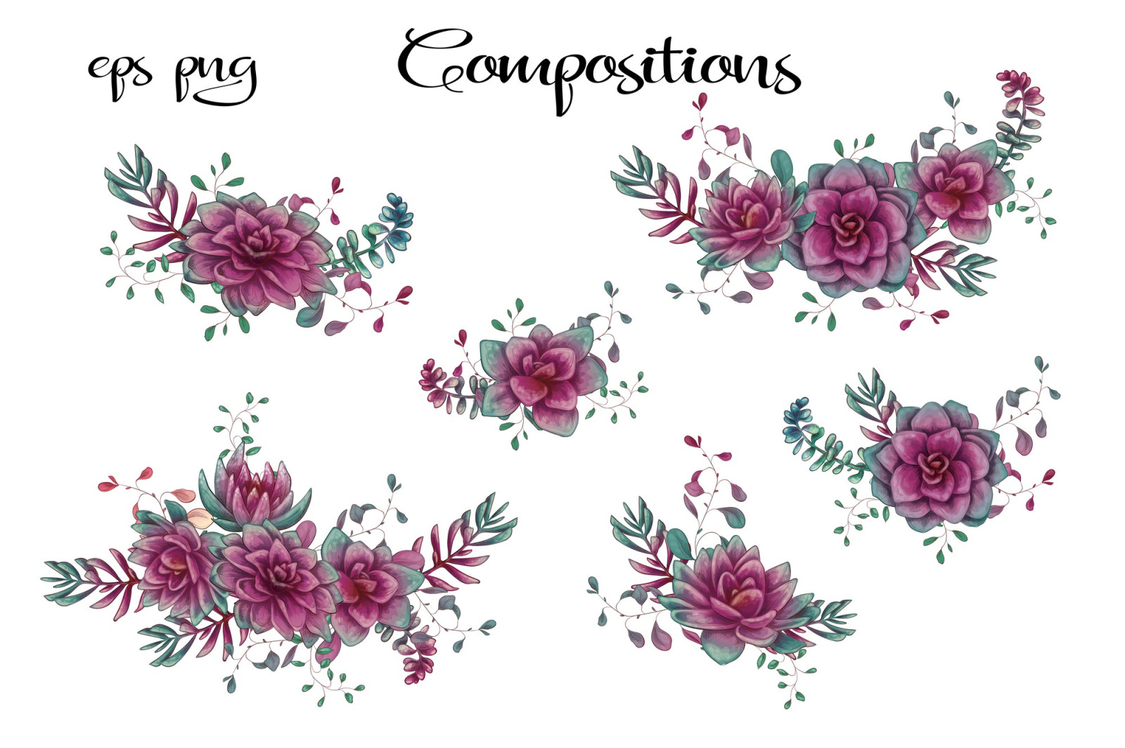 Cacti & Succulents in purple Cacti & Succulents in purple