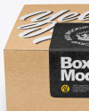 Kraft Box Mockup