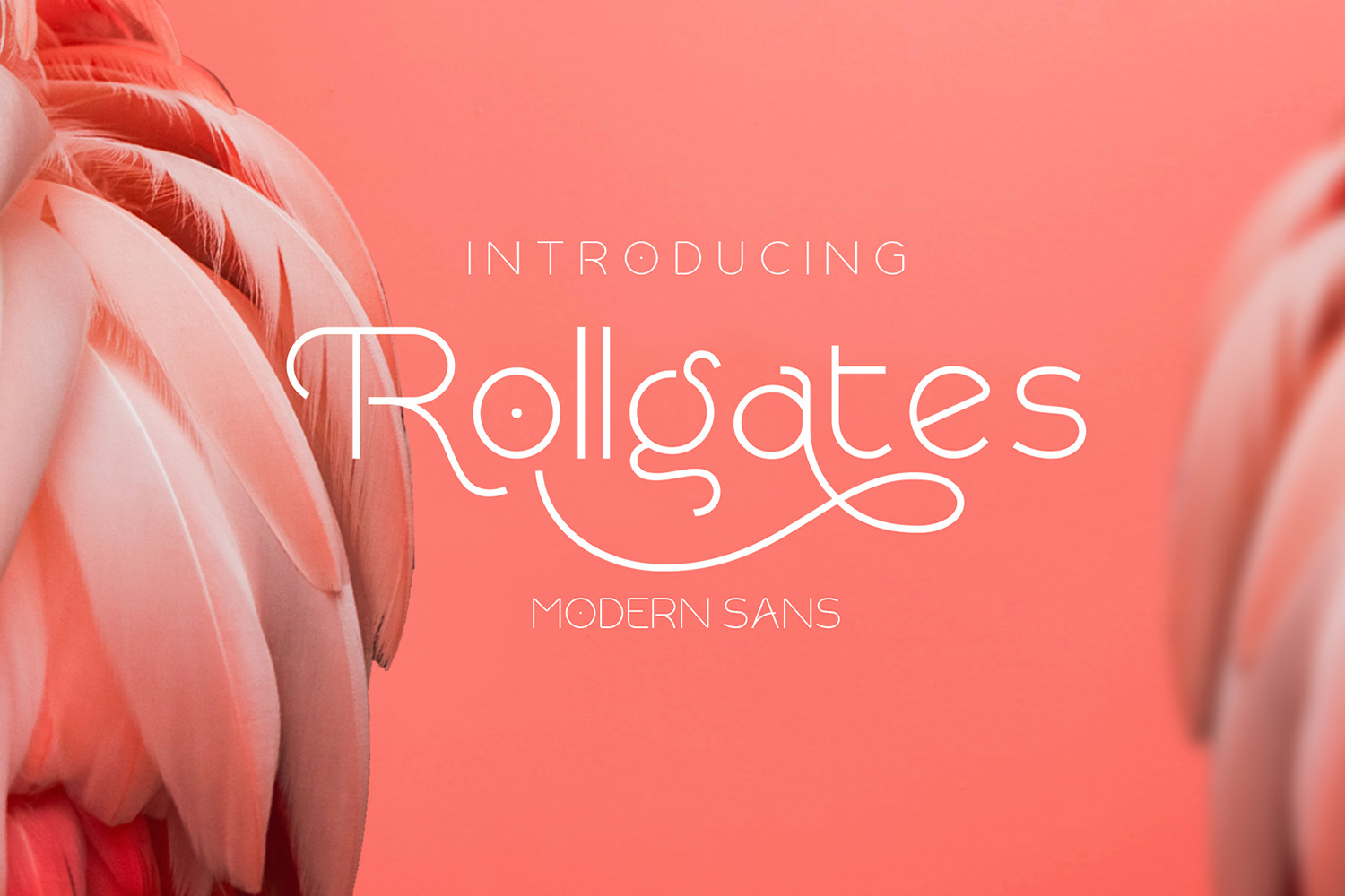 Rollgates Modern Sans Rollgates Modern Sans