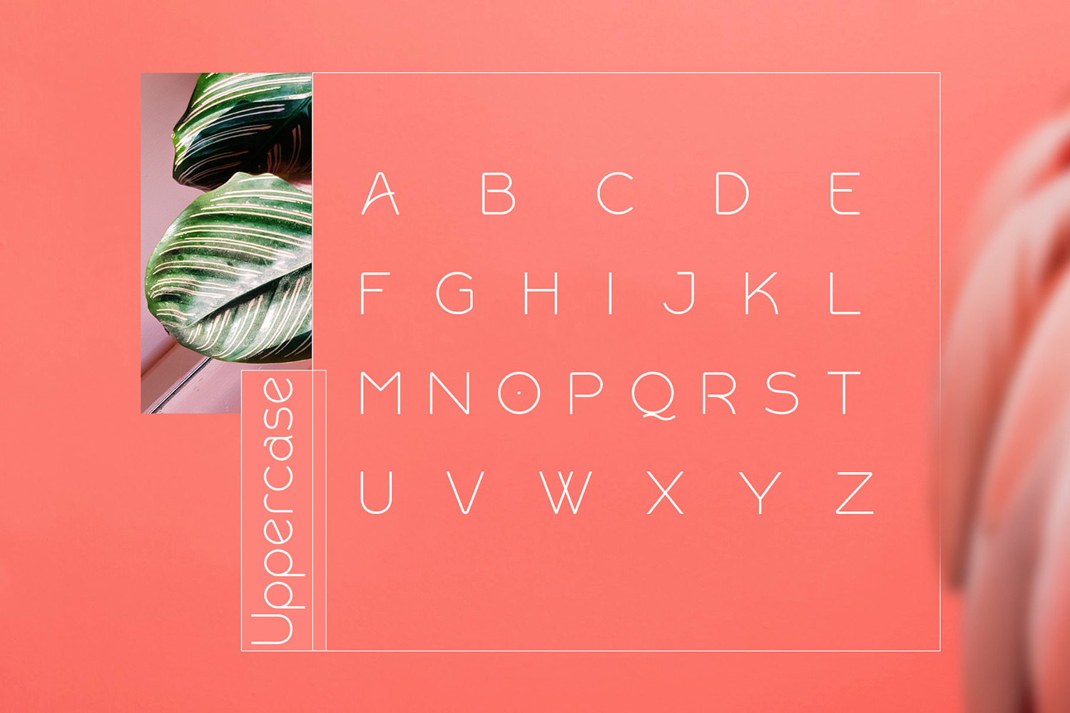 Rollgates Modern Sans Rollgates Modern Sans
