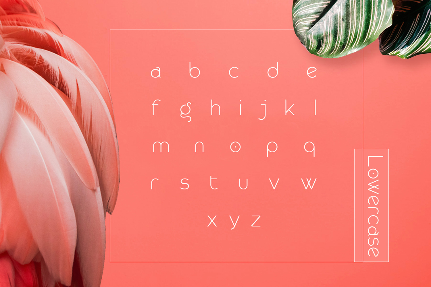 Rollgates Modern Sans Rollgates Modern Sans