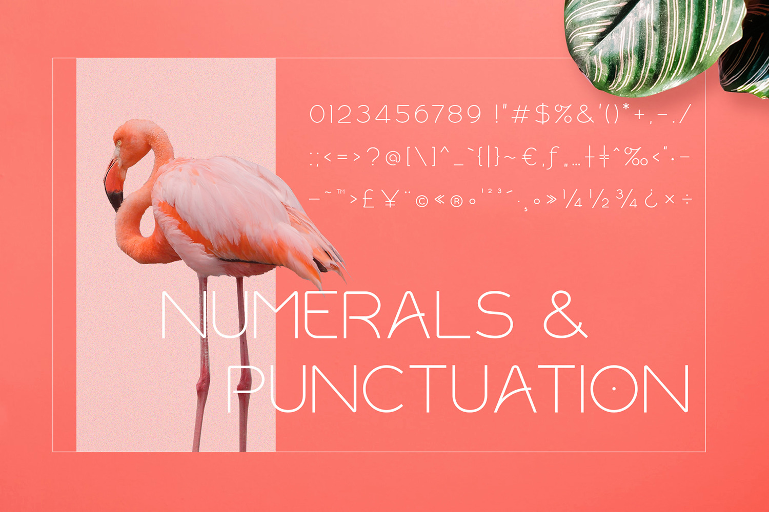 Rollgates Modern Sans Rollgates Modern Sans