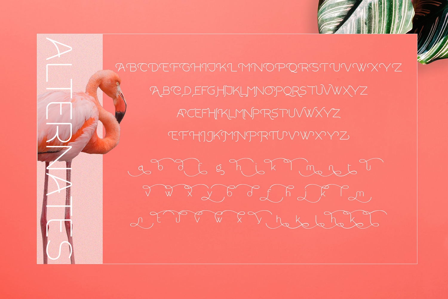 Rollgates Modern Sans Rollgates Modern Sans