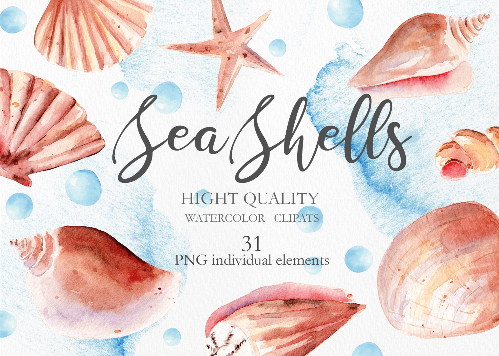 Seashells Clipart Collection