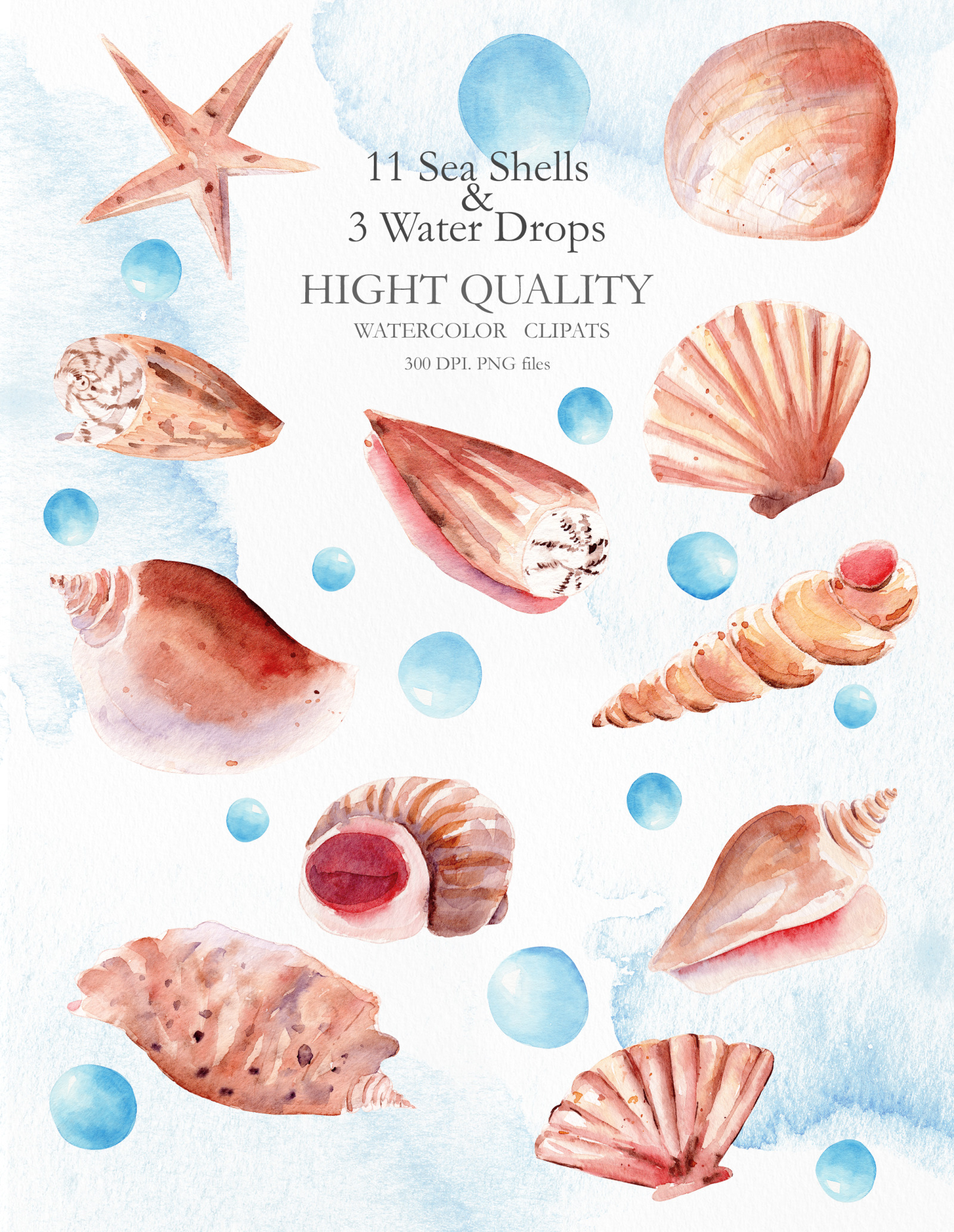 Seashells Clipart Collection