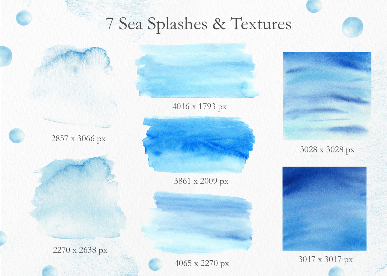 Seashells Clipart Collection Seashells Clipart Collection