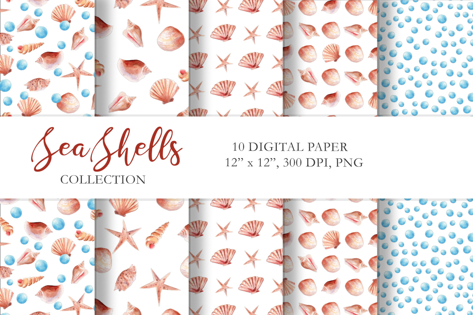 Seashells Clipart Collection Seashells Clipart Collection