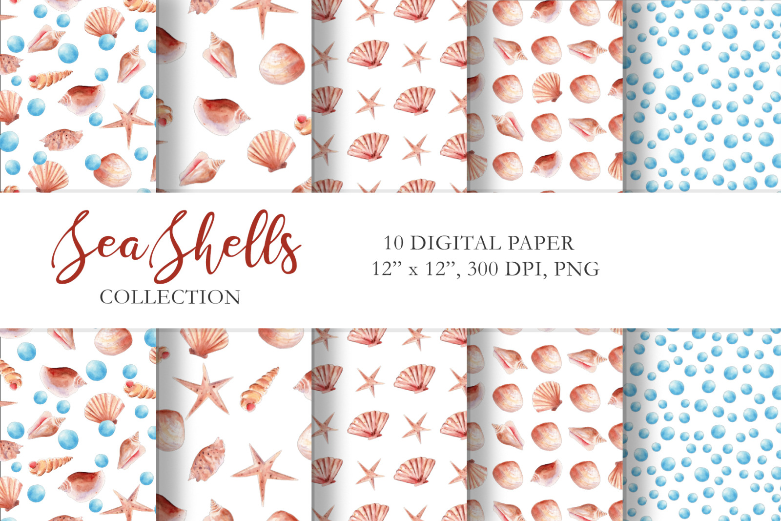 Seashells Clipart Collection