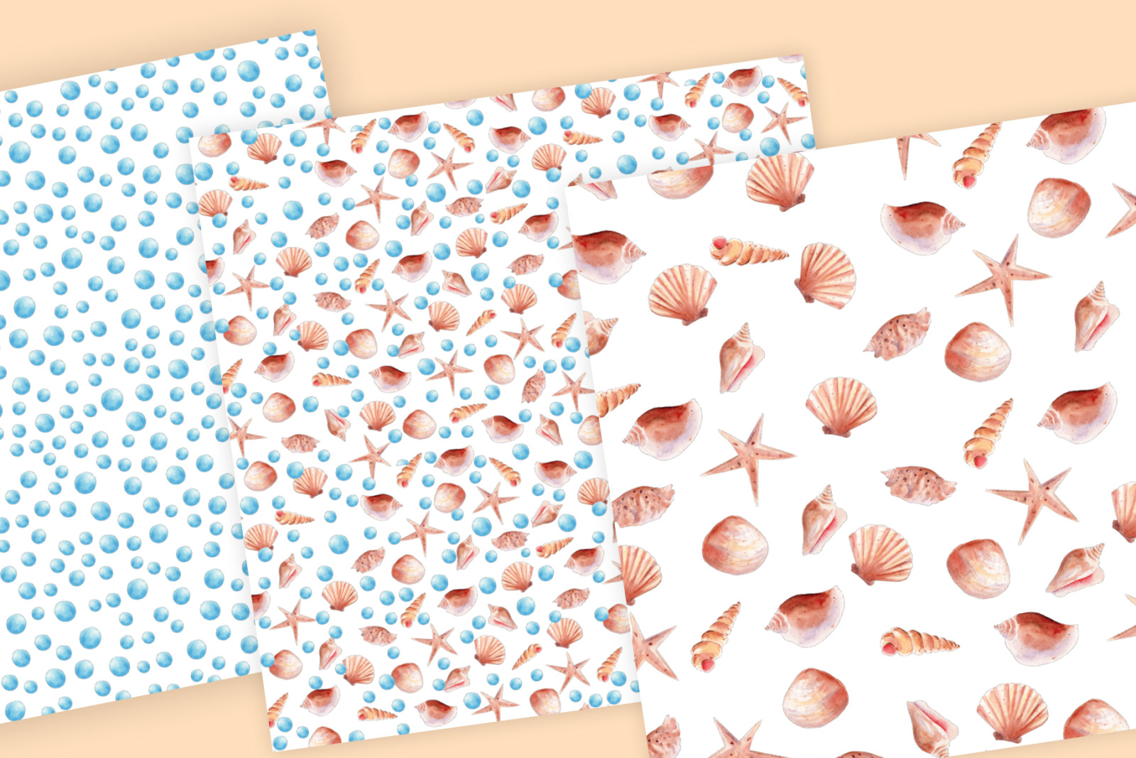 Seashells Clipart Collection