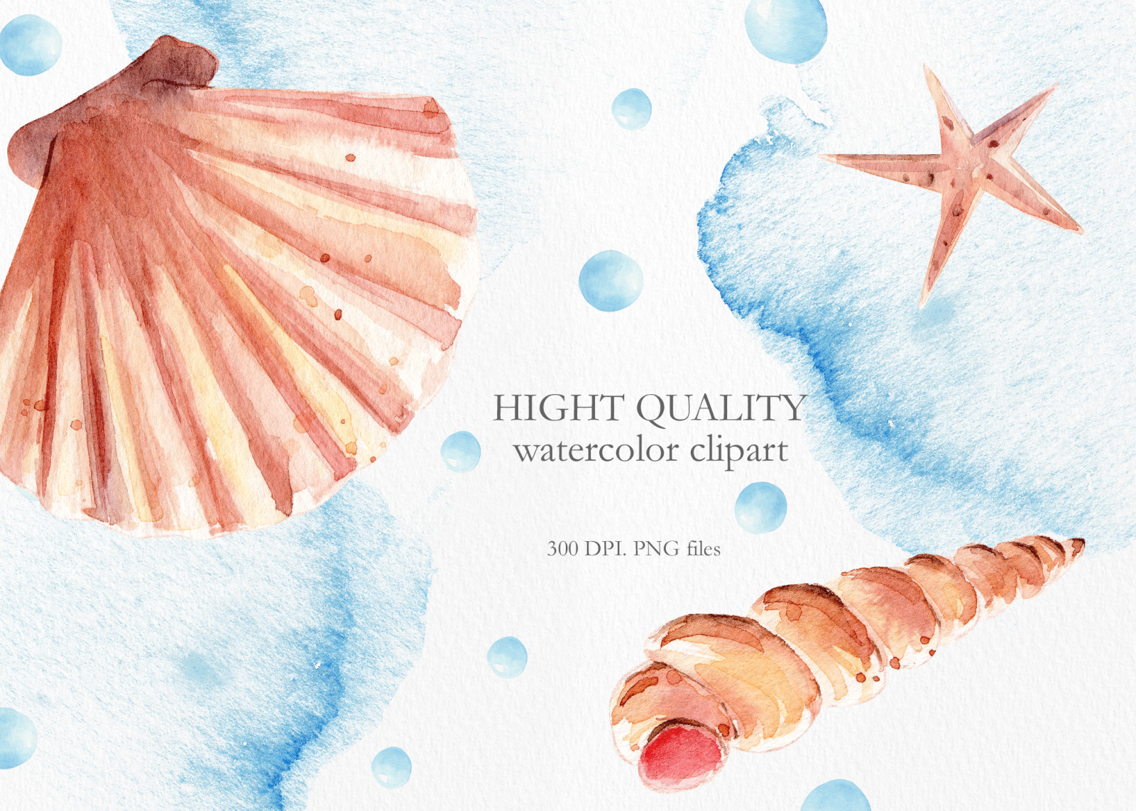 Seashells Clipart Collection