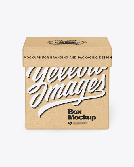 Kraft Box Mockup