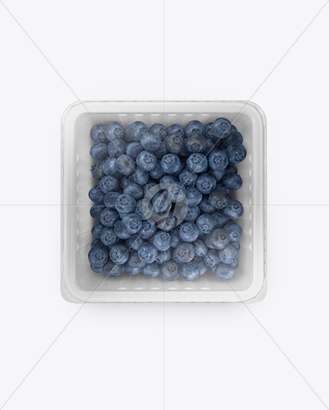 Container w/ Blueberry Mockup