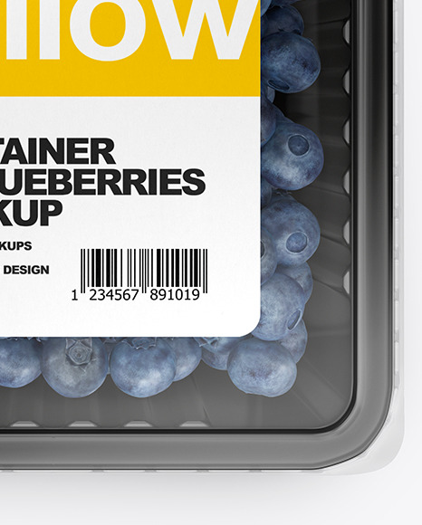 Container w/ Blueberry Mockup