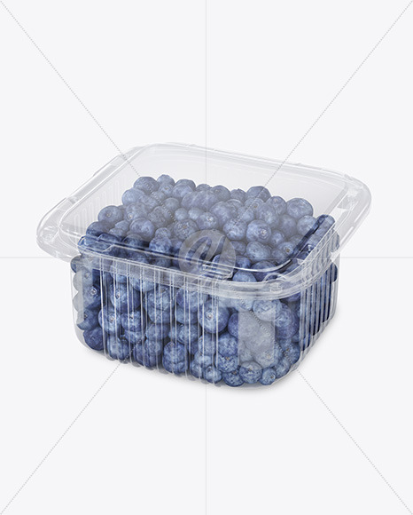 Container w/ Blueberry Mockup