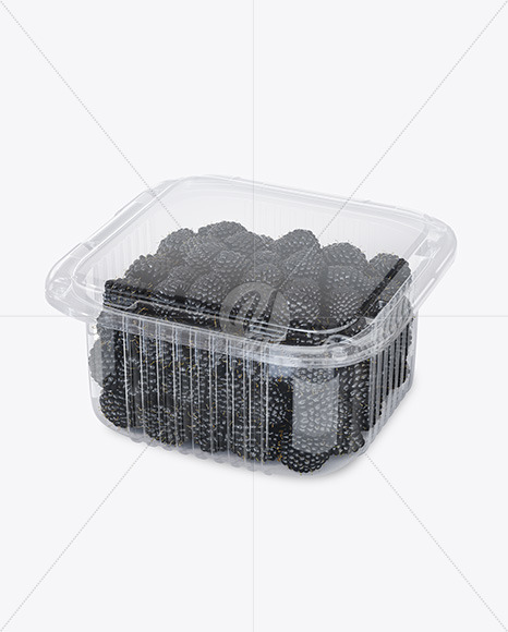 Container w/ Blackberry Mockup