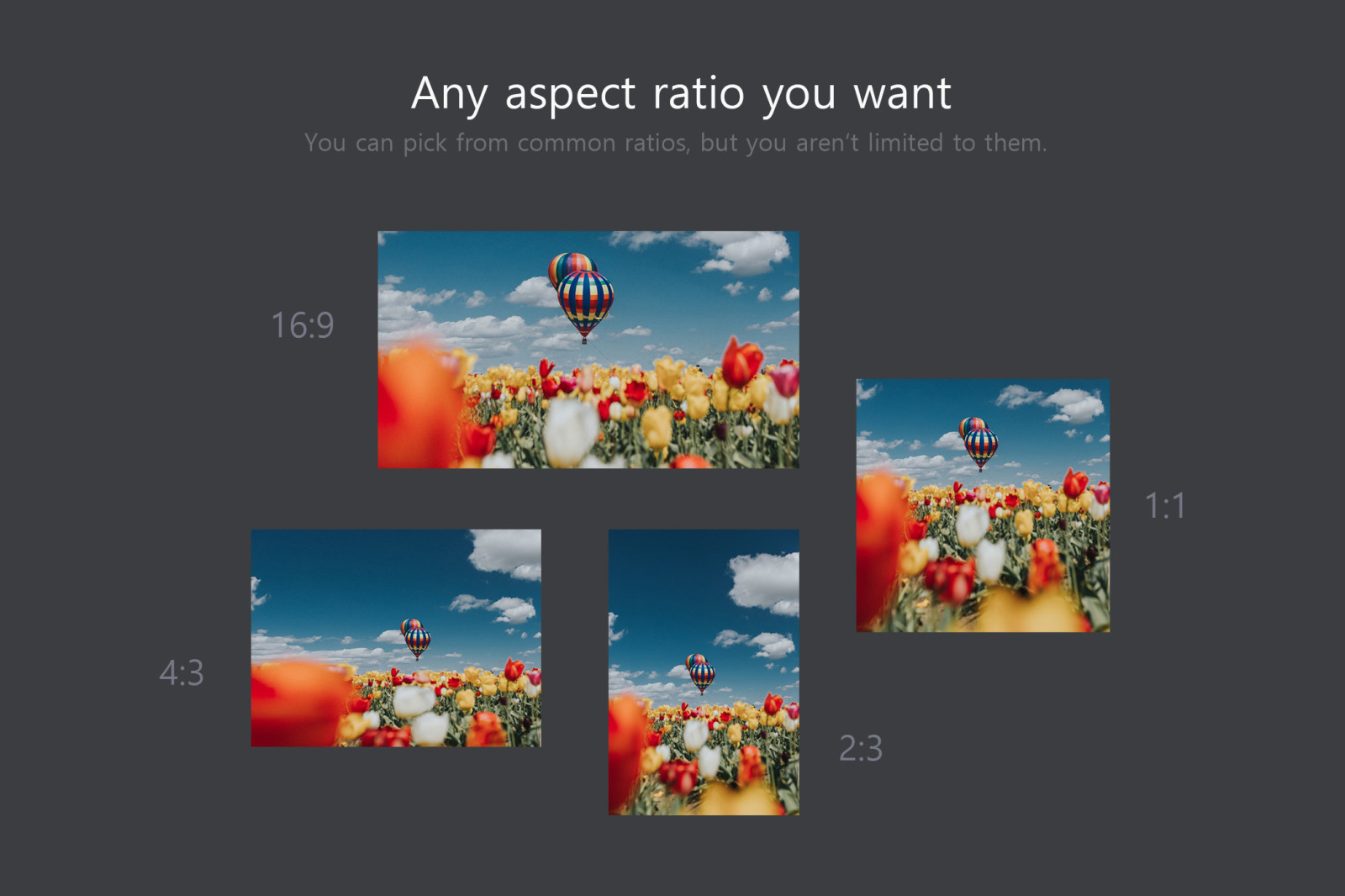 Ratio Switch - Format Change Kit Ratio Switch - Format Change Kit
