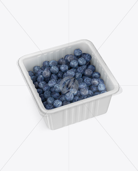 Container w/ Blueberry Mockup