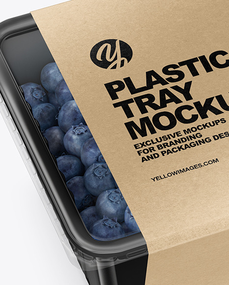 Container w/ Blueberry Mockup