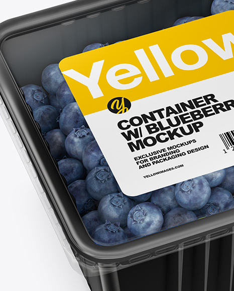 Container w/ Blueberry Mockup