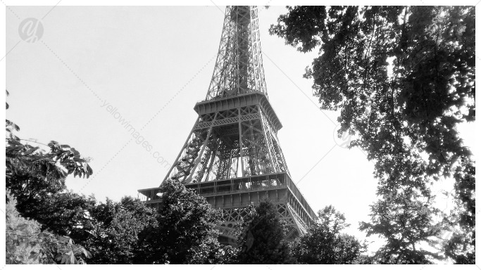 Black and White Eiffel Tower