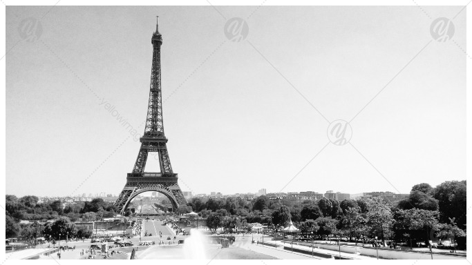 Black and White Eiffel Tower