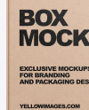 Kraft Box Mockup