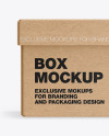 Kraft Box Mockup