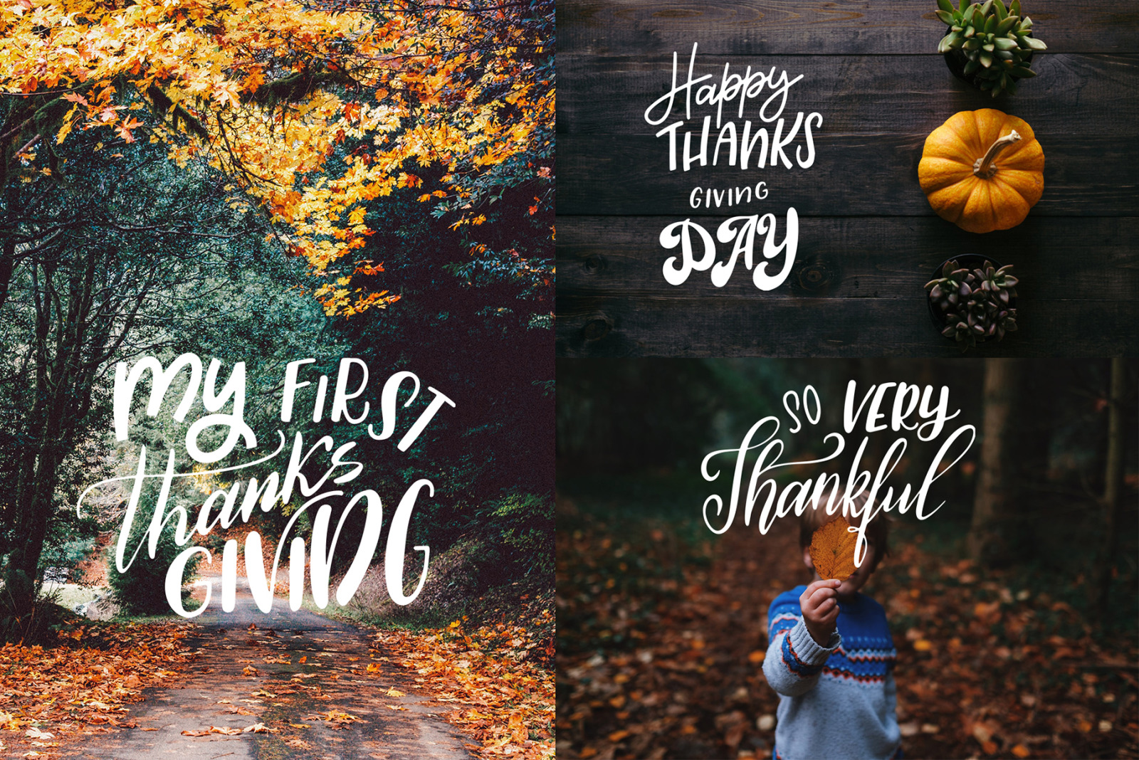 Thanksgiving holiday overlay+clipart