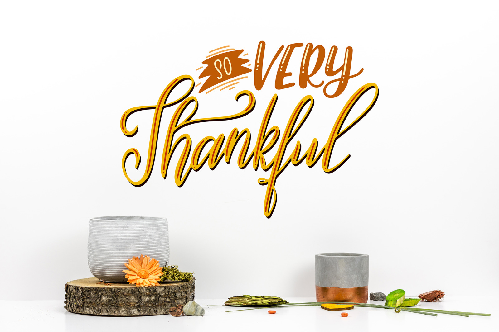 Thanksgiving holiday overlay+clipart