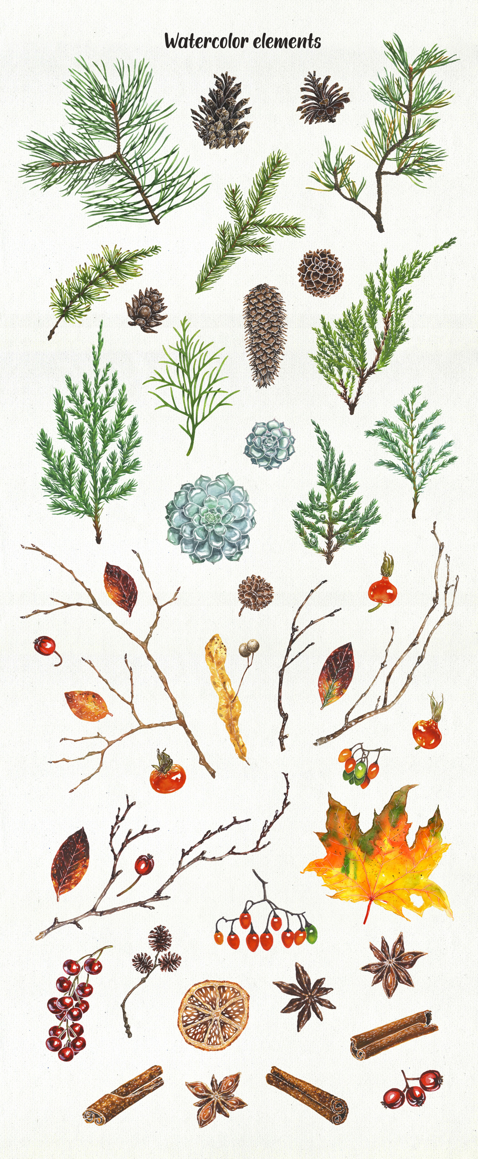 Winter Collection. Watercolor elements for greeting cards Winter Collection. Watercolor elements for greeting cards