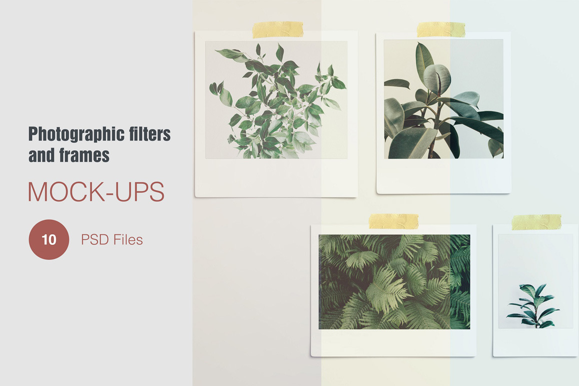 Mood board photographic and filters mockup