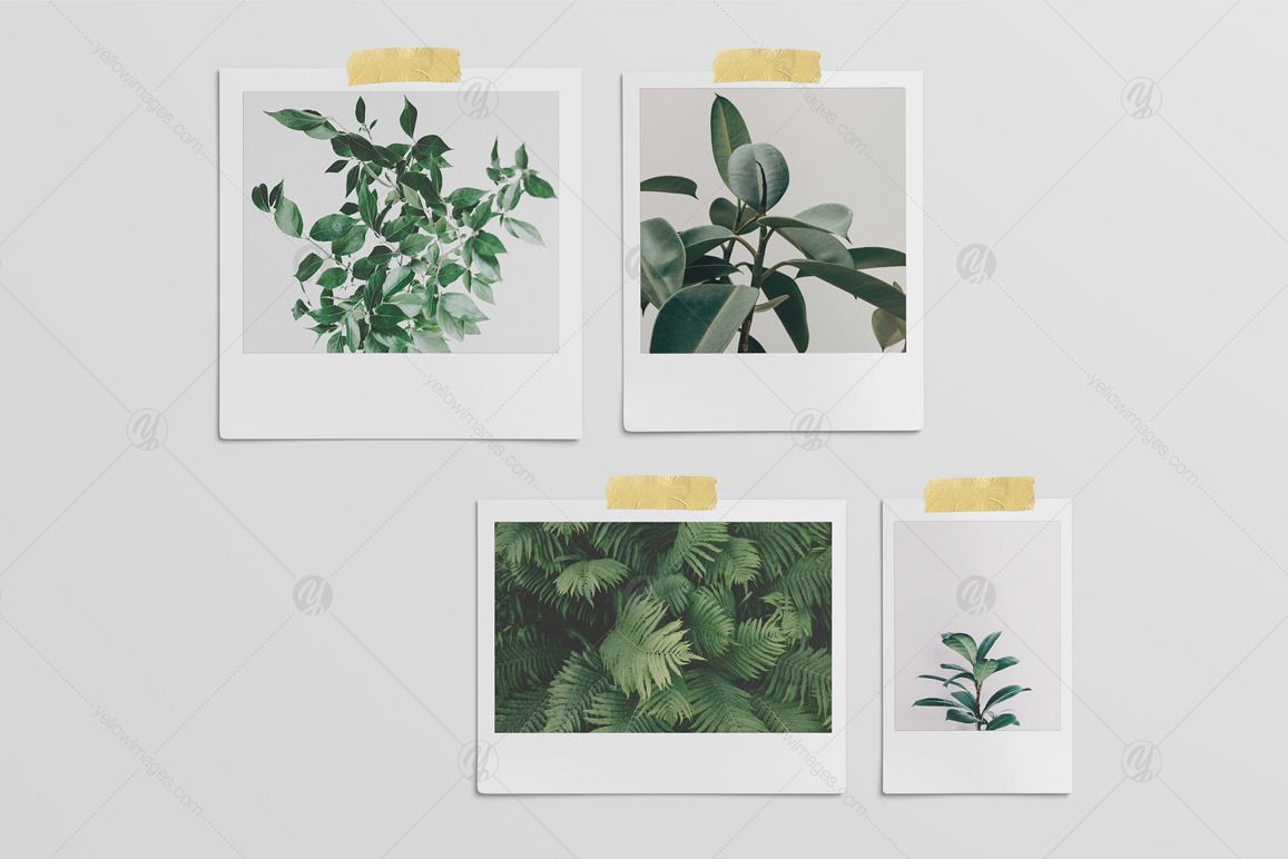 Mood board photographic and filters mockup