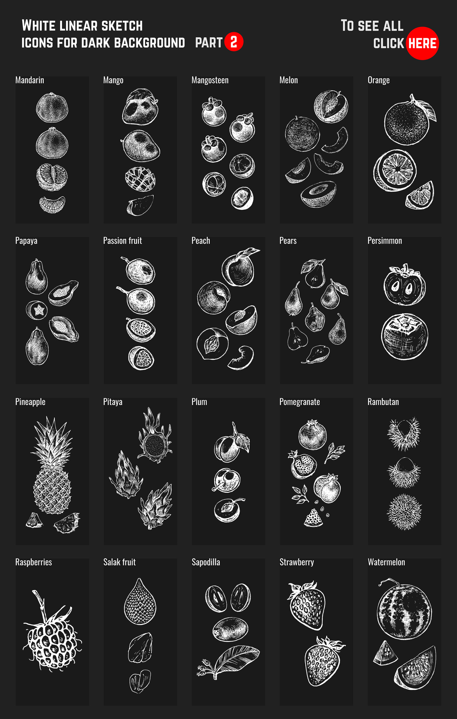 Fruits - hand drawn vector set Fruits - hand drawn vector set