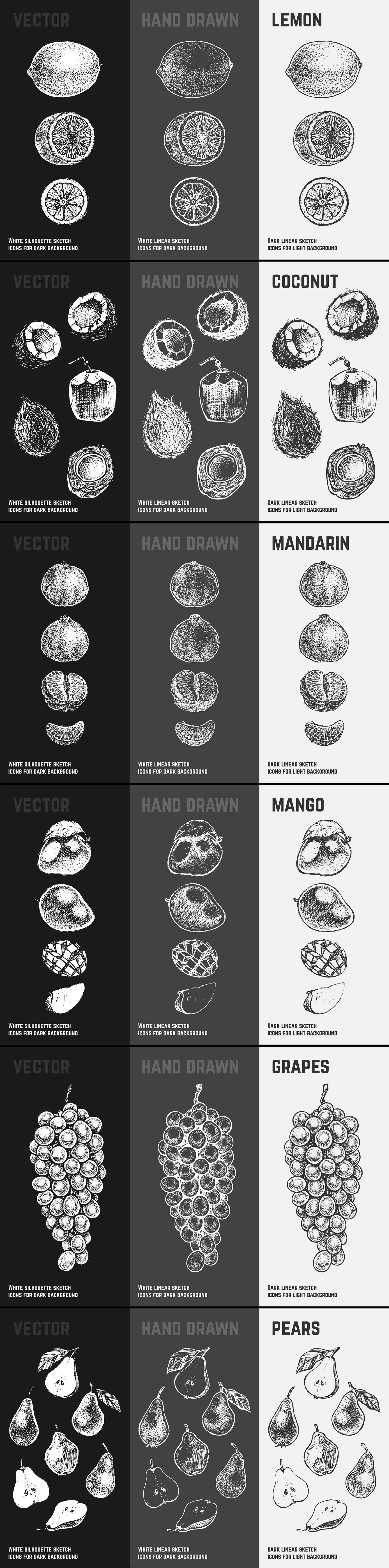 Fruits - hand drawn vector set