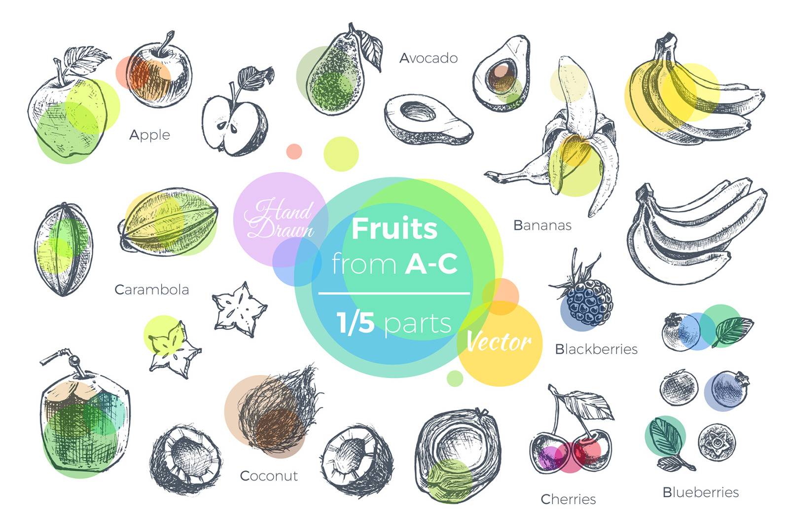 Fruits - hand drawn vector set