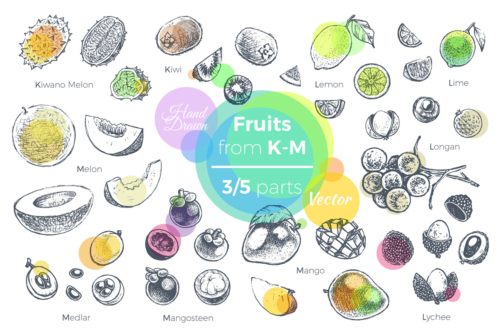 Fruits - hand drawn vector set Fruits - hand drawn vector set