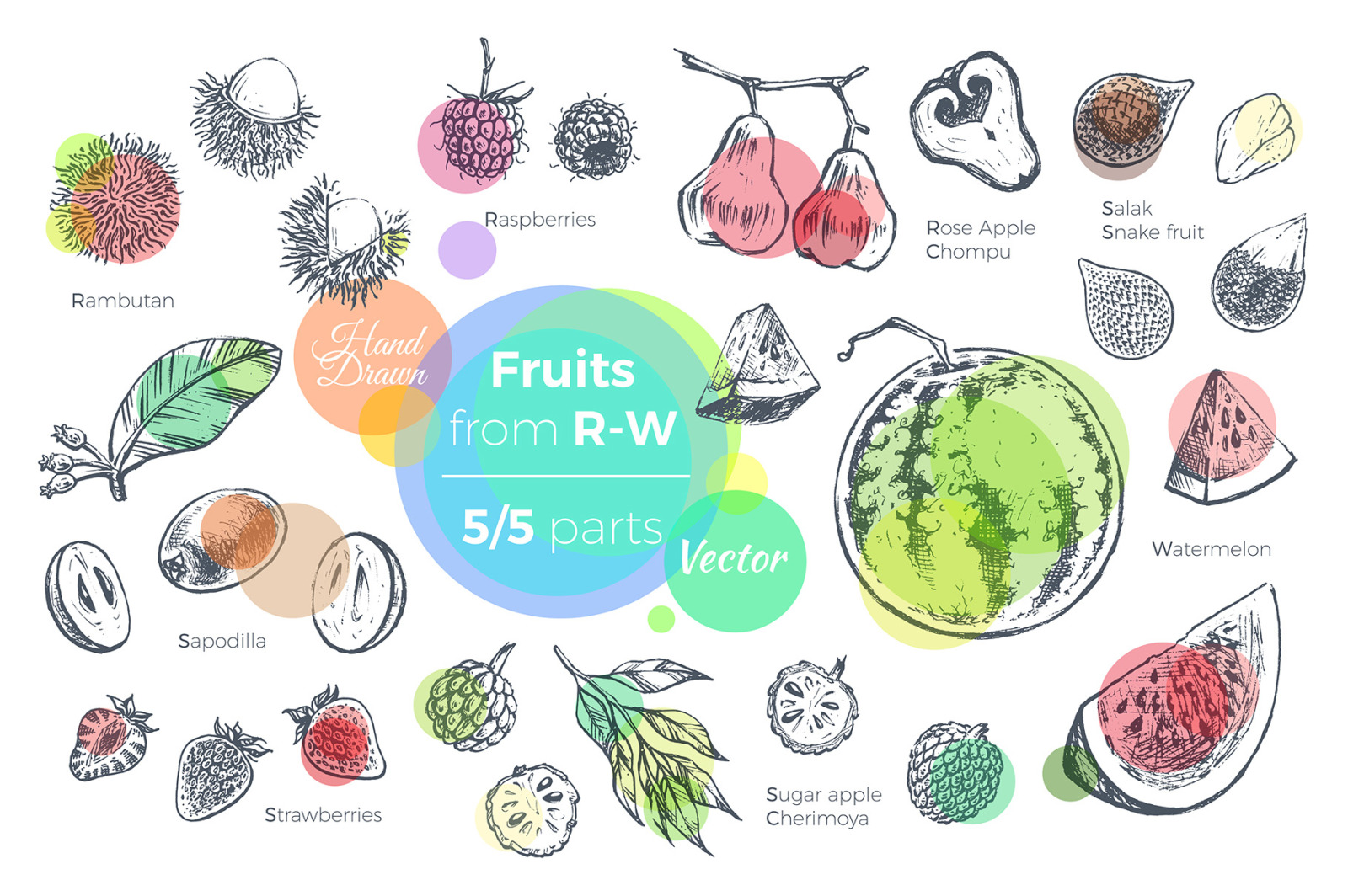 Fruits - hand drawn vector set Fruits - hand drawn vector set