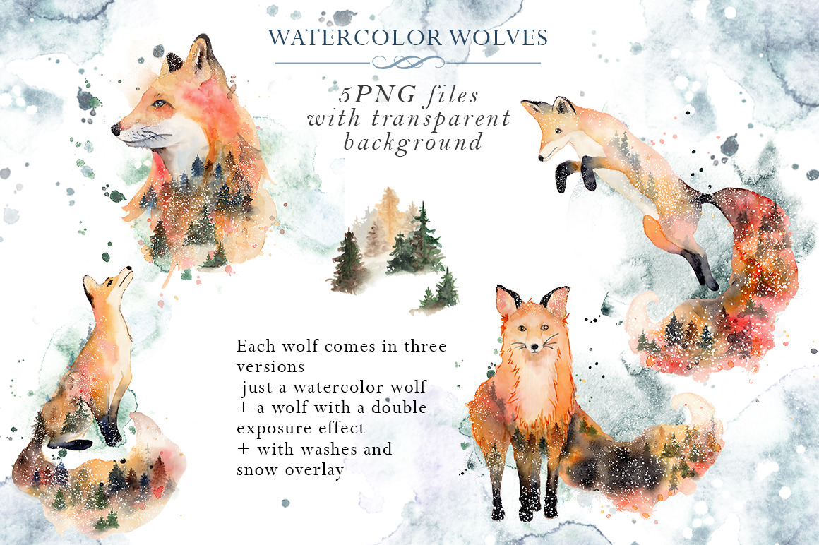 Woodland story Vol.2 Foxes