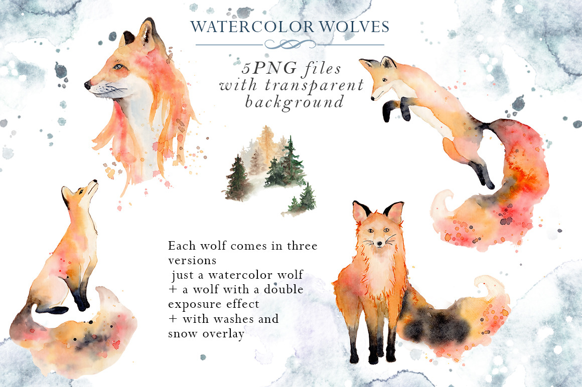 Woodland story Vol.2 Foxes