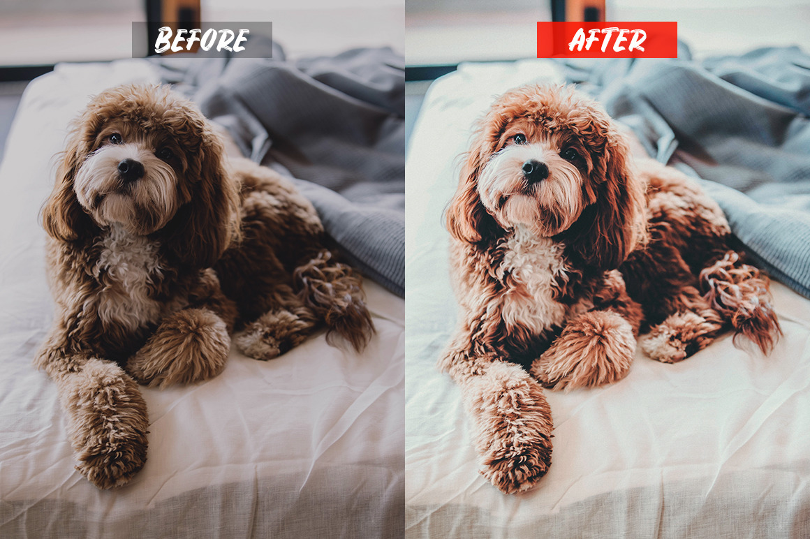 Mobile Lightroom Presets Mobile Lightroom Presets