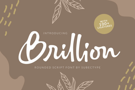 Brillion Rounded Script Font - Wedding fun