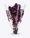 Plastic Bag With Purple Basil Mockup