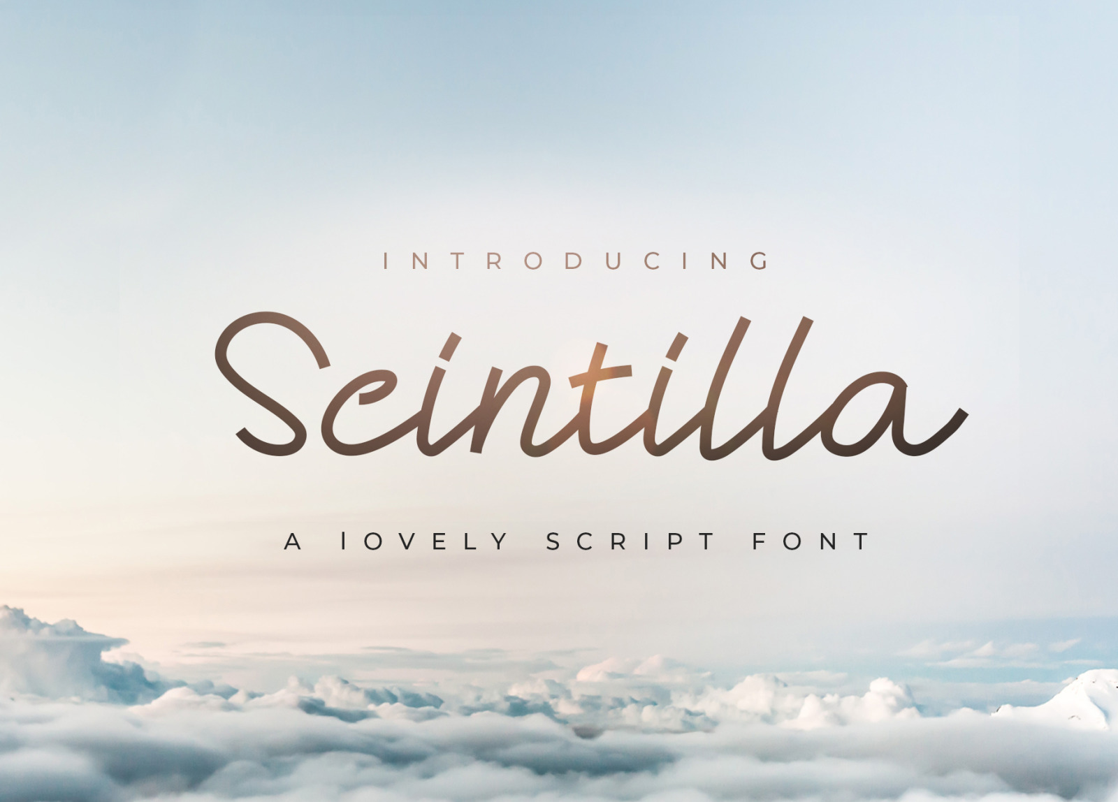 Scintilla Font Scintilla Font