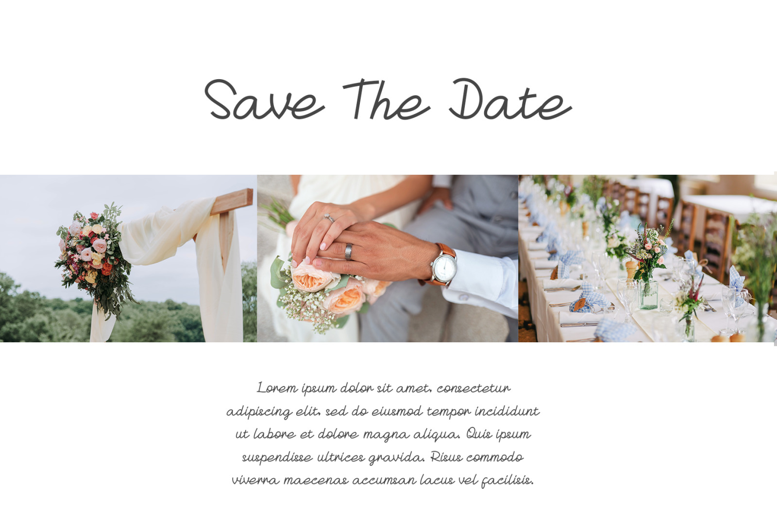 Scintilla Font Scintilla Font