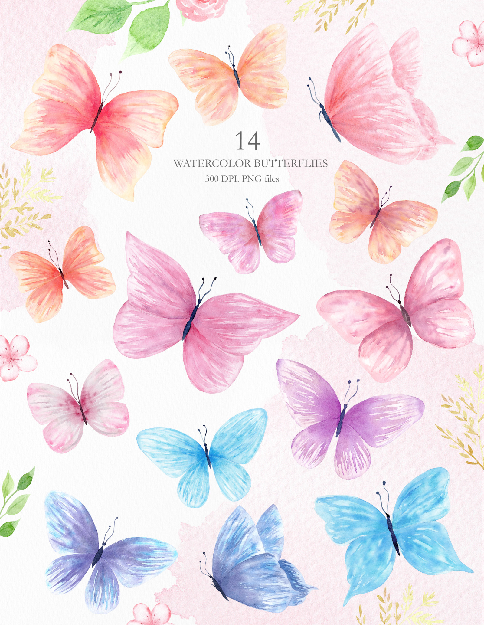 Watercolor Floral and Butterfly Tenderly Collection.